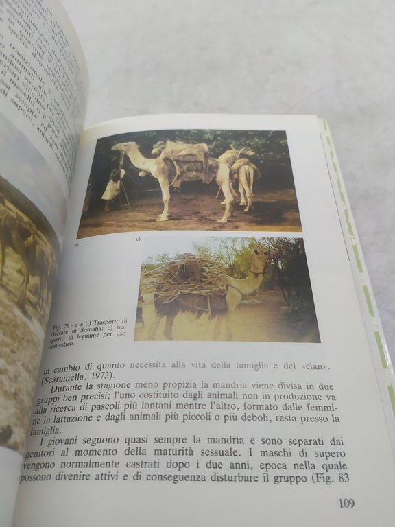 il cammello scaramella cianci macchioni edizioni agricole