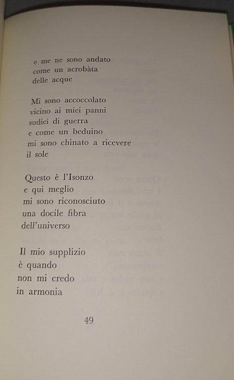 il carso non è un inferno giuseppe ungaretti | Immagine Gallery 7