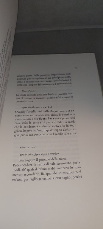 il codice sul volo degli uccelli di leonardo da vinci … | Immagine Gallery 6