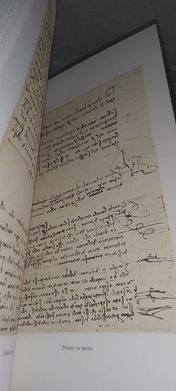 il codice sul volo degli uccelli di leonardo da vinci … | Immagine Gallery 7