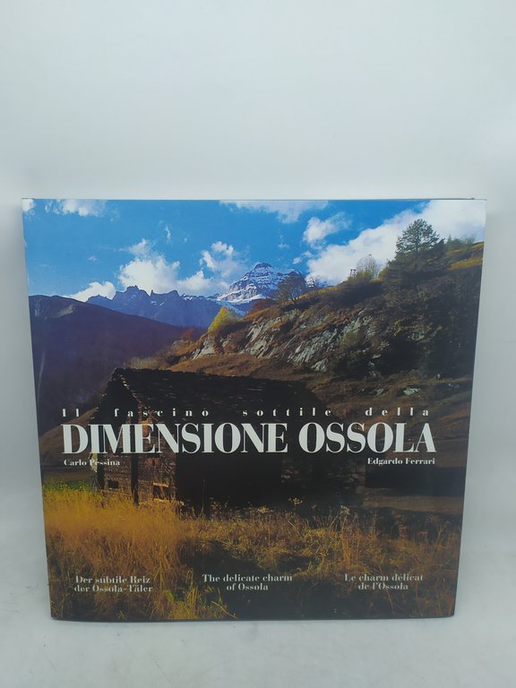 il fascino sottile della dimensione ossola carlo pessina edgardo ferrari