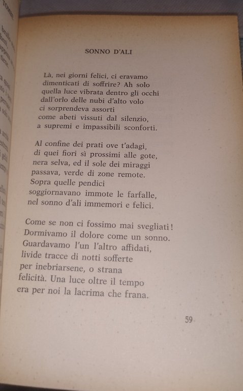 il frutto del tempo luigi fallacara | Immagine Gallery 5