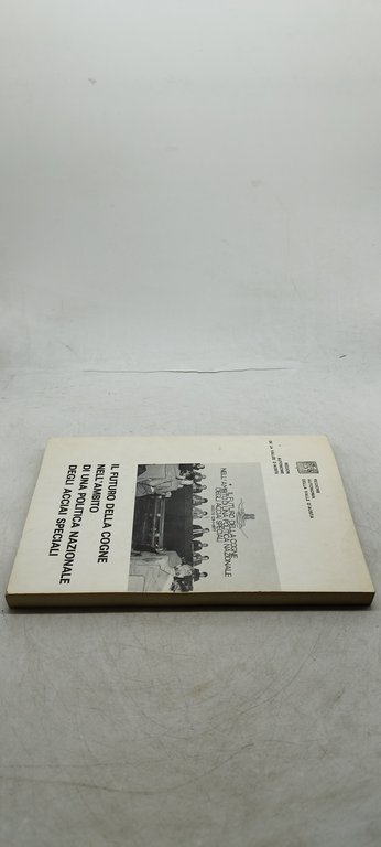 il futuro della cogne nell'ambito di una politica nazionale degli …