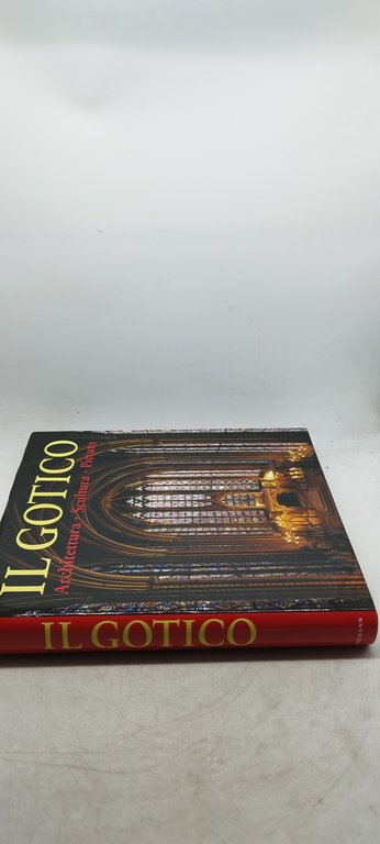 il gotico architettura scultura pittura