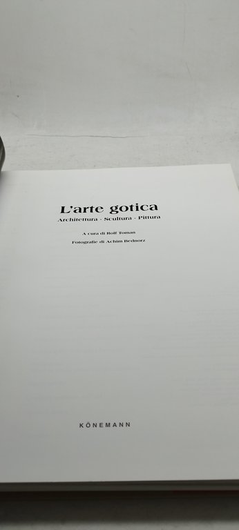 il gotico architettura scultura pittura