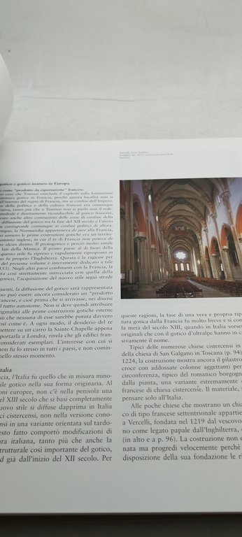 il gotico architettura scultura pittura