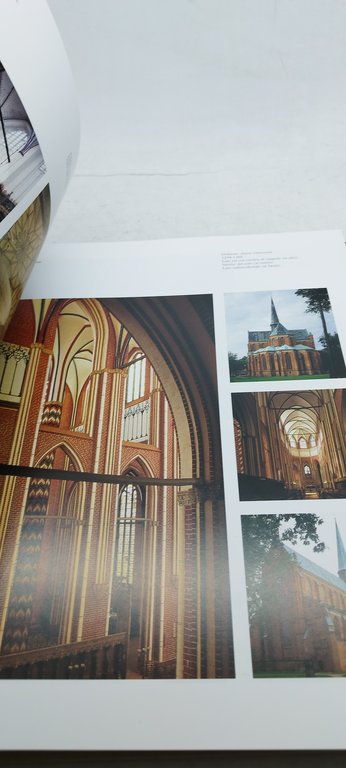 il gotico architettura scultura pittura