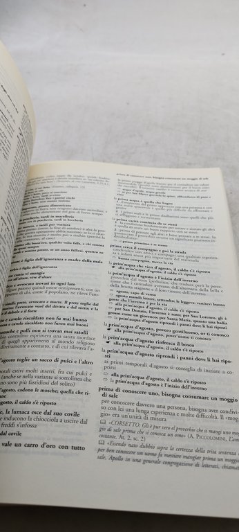 il grande dizionario dei proverbi italiani zanichelli