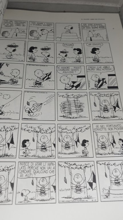 il grande libro dei peanuts tutte le strisce degli anni …