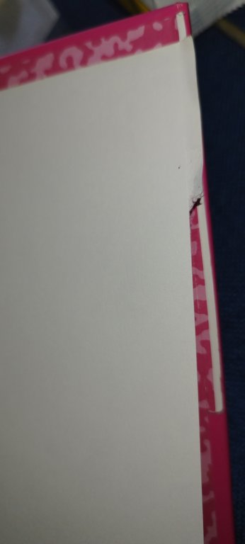 il grande libro dei peanuts tutte le strisce degli anni …