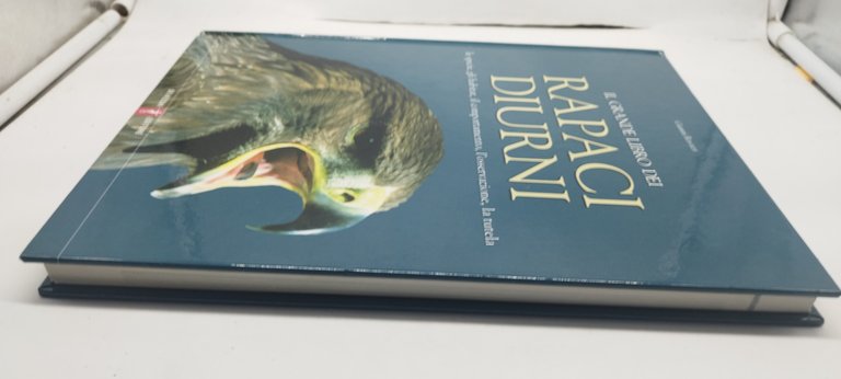 il grande libro dei rapaci diurni de vecchi