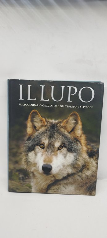 il lupo il leggendario cacciatore dei territori selvaggi
