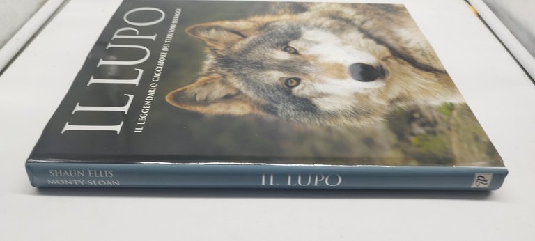 il lupo il leggendario cacciatore dei territori selvaggi