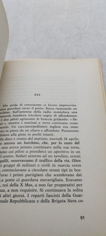 il mare nel bosco volpe luigi del bono