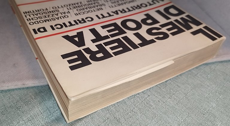 il mestiere di poeta autoritratti critici ferdinando camon | Immagine Gallery 5