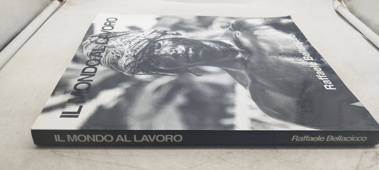 il mondo al lavoro raffaele bellacicco