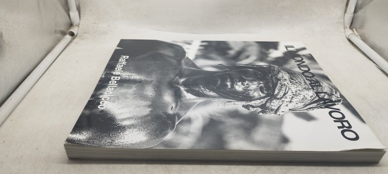 il mondo al lavoro raffaele bellacicco