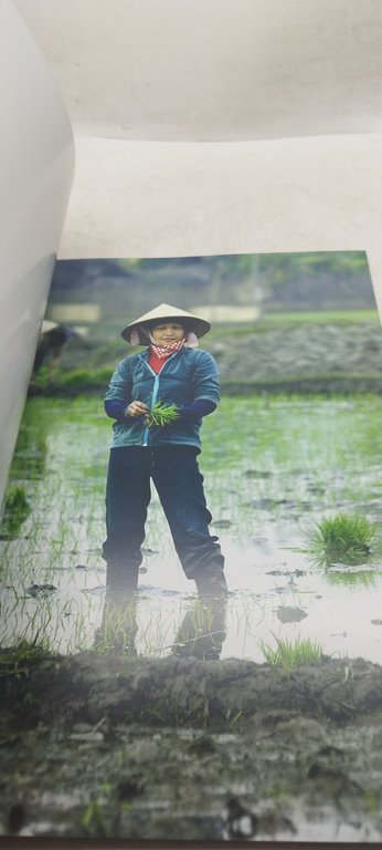 il mondo al lavoro raffaele bellacicco