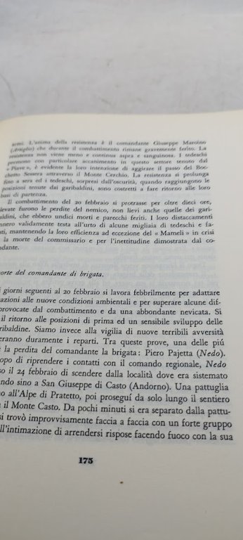 il monte rosa e sceso a milano
