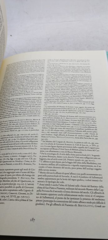 il patrimonio artistico della valle di susa umberto alleandi um