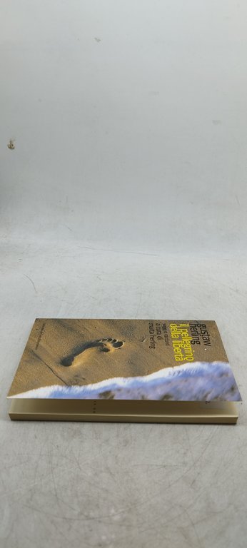 il pellegrino della libertà