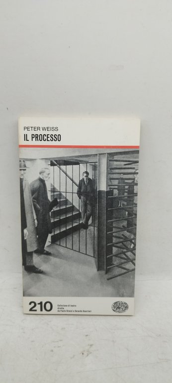 il processo peter weiss einaudi