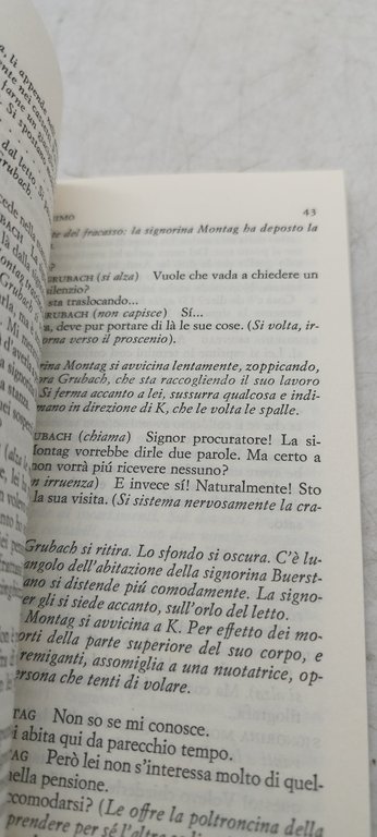 il processo peter weiss einaudi