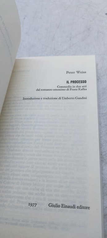 il processo peter weiss einaudi