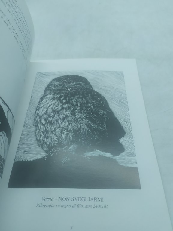 il quadrato galleria associazione culturale verna &amp; schialvino bestiario