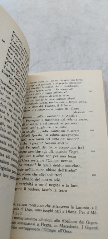 il rapimento di proserpina la guerra dei goti