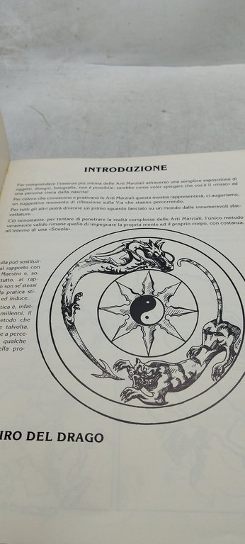 il respiro del drago arti marziali tra fantasy e tradizione