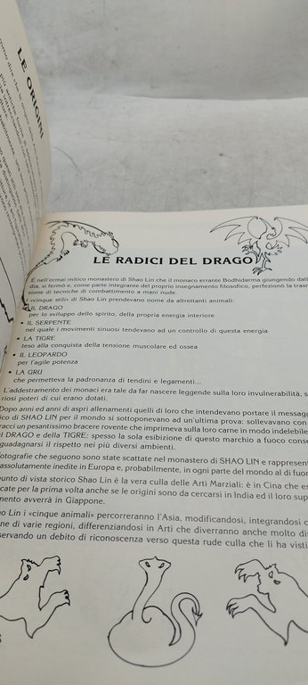 il respiro del drago arti marziali tra fantasy e tradizione