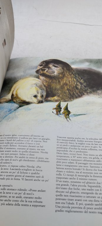 il segreto degli gnomi rizzoli 1982