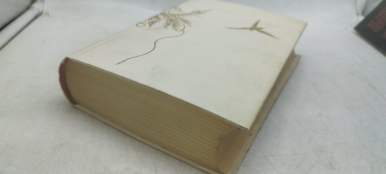 il sogno della camera rossa einaudi i millenni