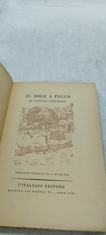 il sole a picco di vincenzo cadarelli