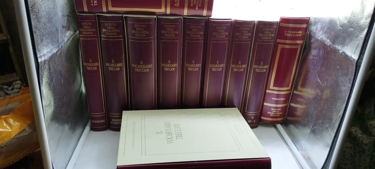 il vocabolario treccani 15 volumi sinonimi annali visuale neologismi grammatica theasurus enciclopedia 