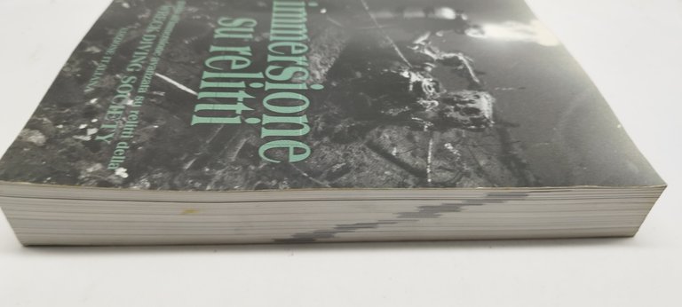 immersione su relitti