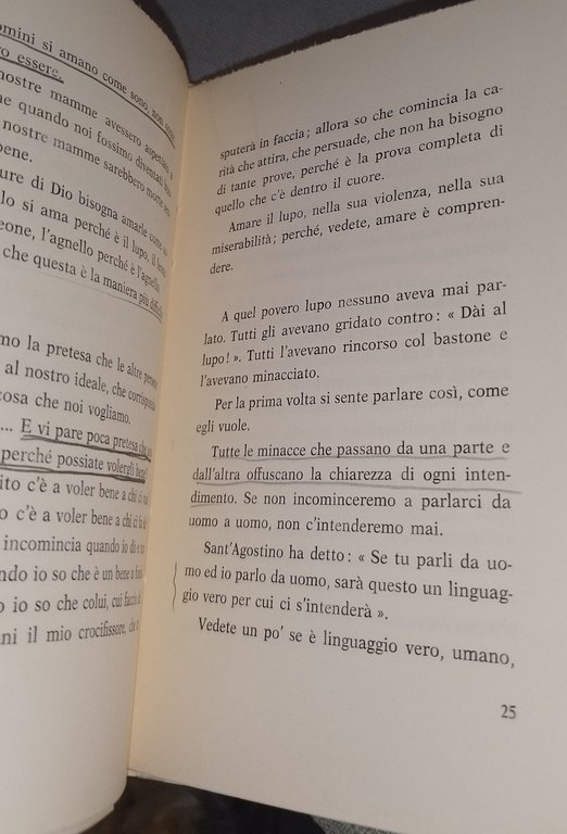 incontro al lupo primo mazzolari | Immagine Gallery 5