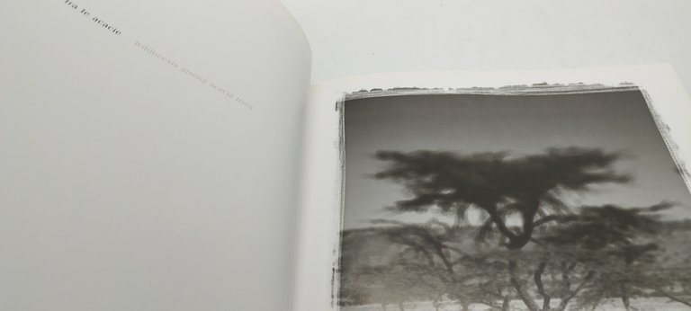 inside africa l'africa dentro