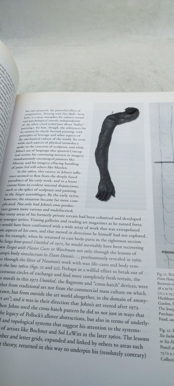 jasper johns the museum of modern art new york