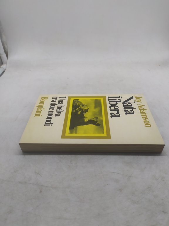 joy adamson nata libera una belva tra due mondi bompiani