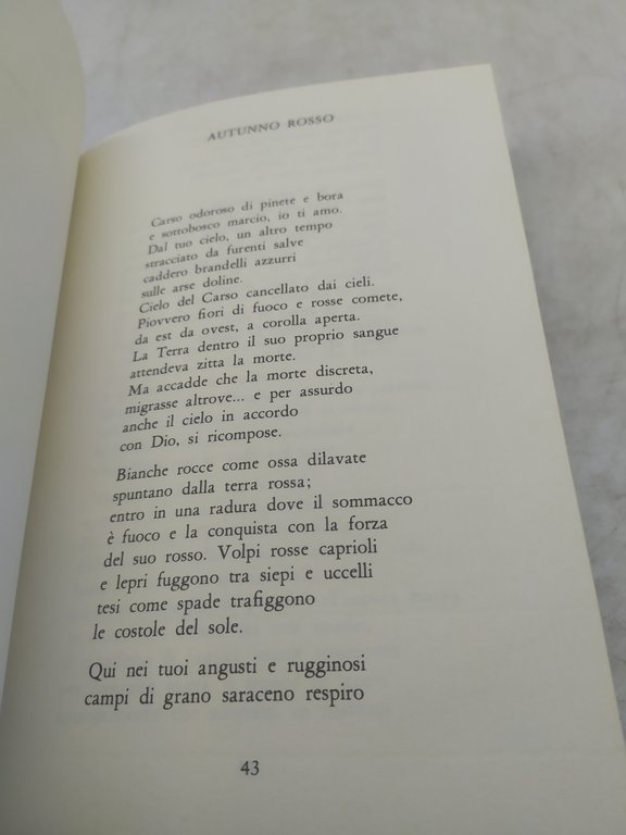 ketty daneo trieste e un lager rebellato editore