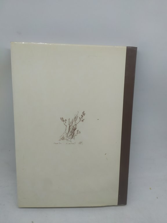 l'acropoli di montecassino e il primitivo monastero di san benedetto …