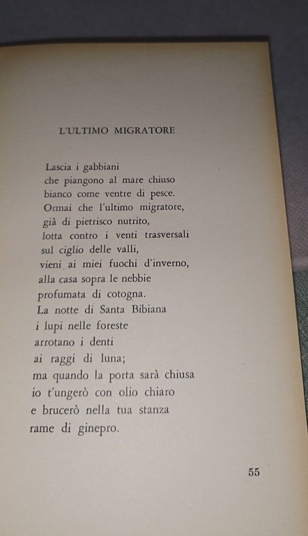 l'antica moneta paolo volponi | Immagine Gallery 6