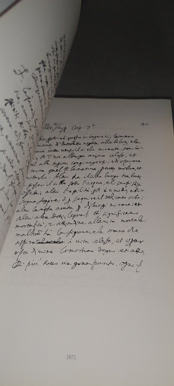 l'ateismo trionfato anastatica del ms barb lat tommaso campanella | Immagine Gallery 7