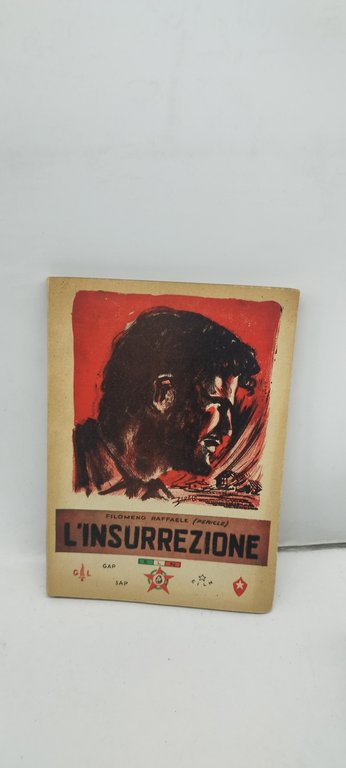 l'insurrezione filomeno raffaele