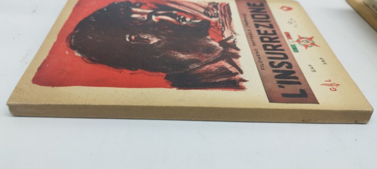 l'insurrezione filomeno raffaele