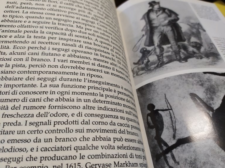 l'intelligenza dei cani stanley coren mondadori