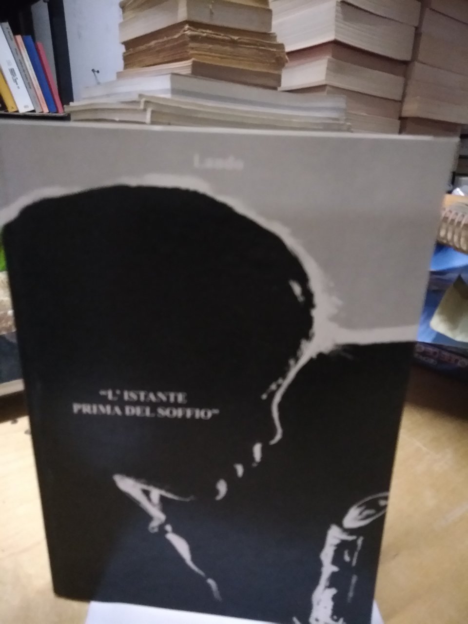 l'istante prima del soffio lando