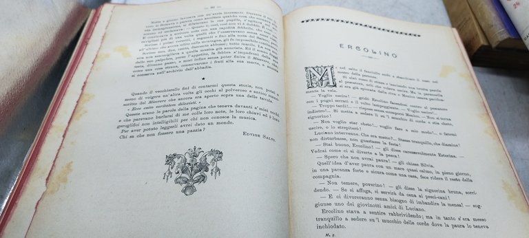 l'italia giovane parte maschile realtà e fantasia hoepli